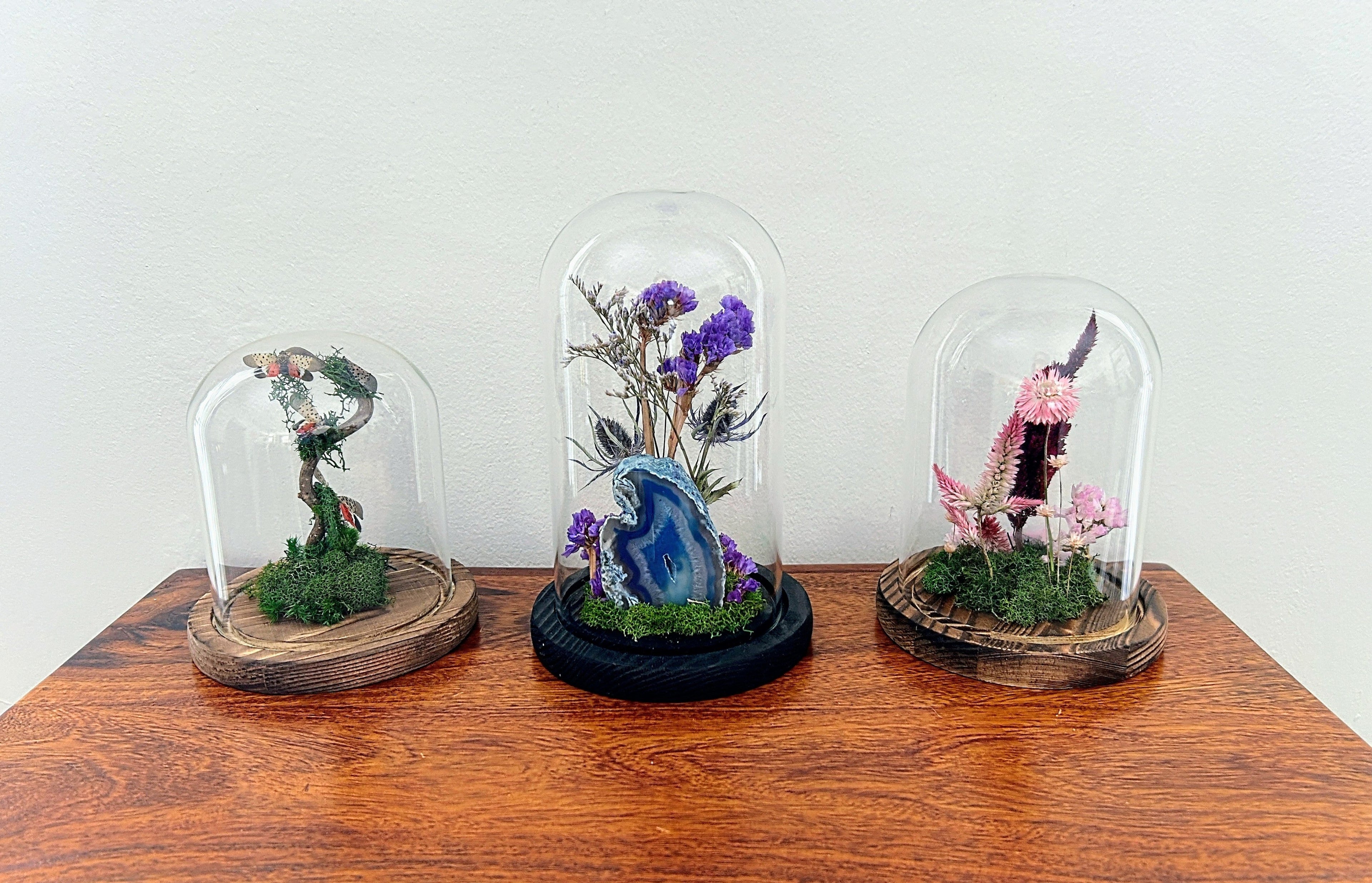 Glass Cloches