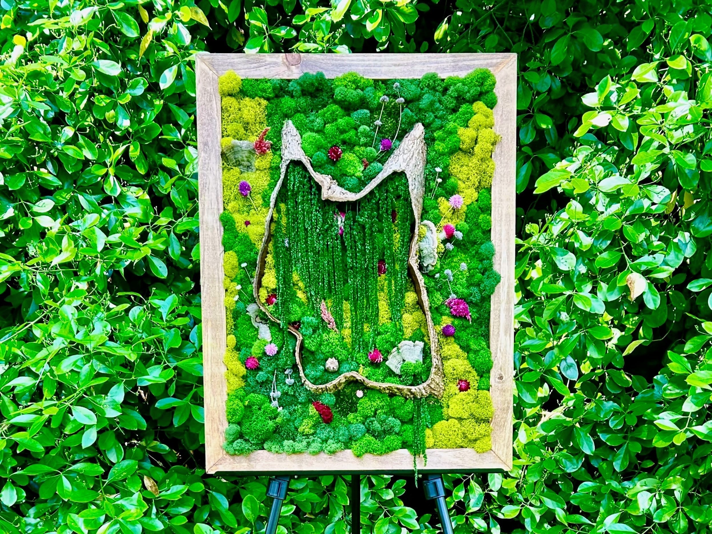 Botanical Art