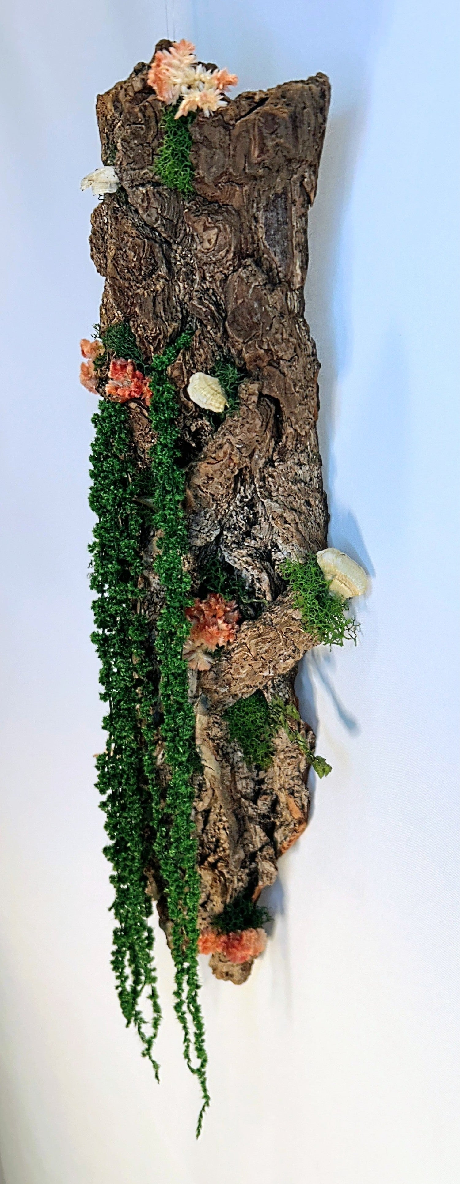 Celosia Bark