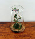 7.5" Spotted Lantern Fly Cloche