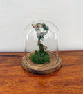 5.5" Spotted Lantern Fly Cloche