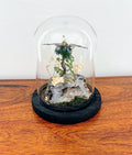 6" Black Butterfly Cloche