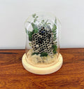 6" Honey Comb Cloche