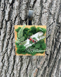Spotted Lantern Fly on Birch Bark