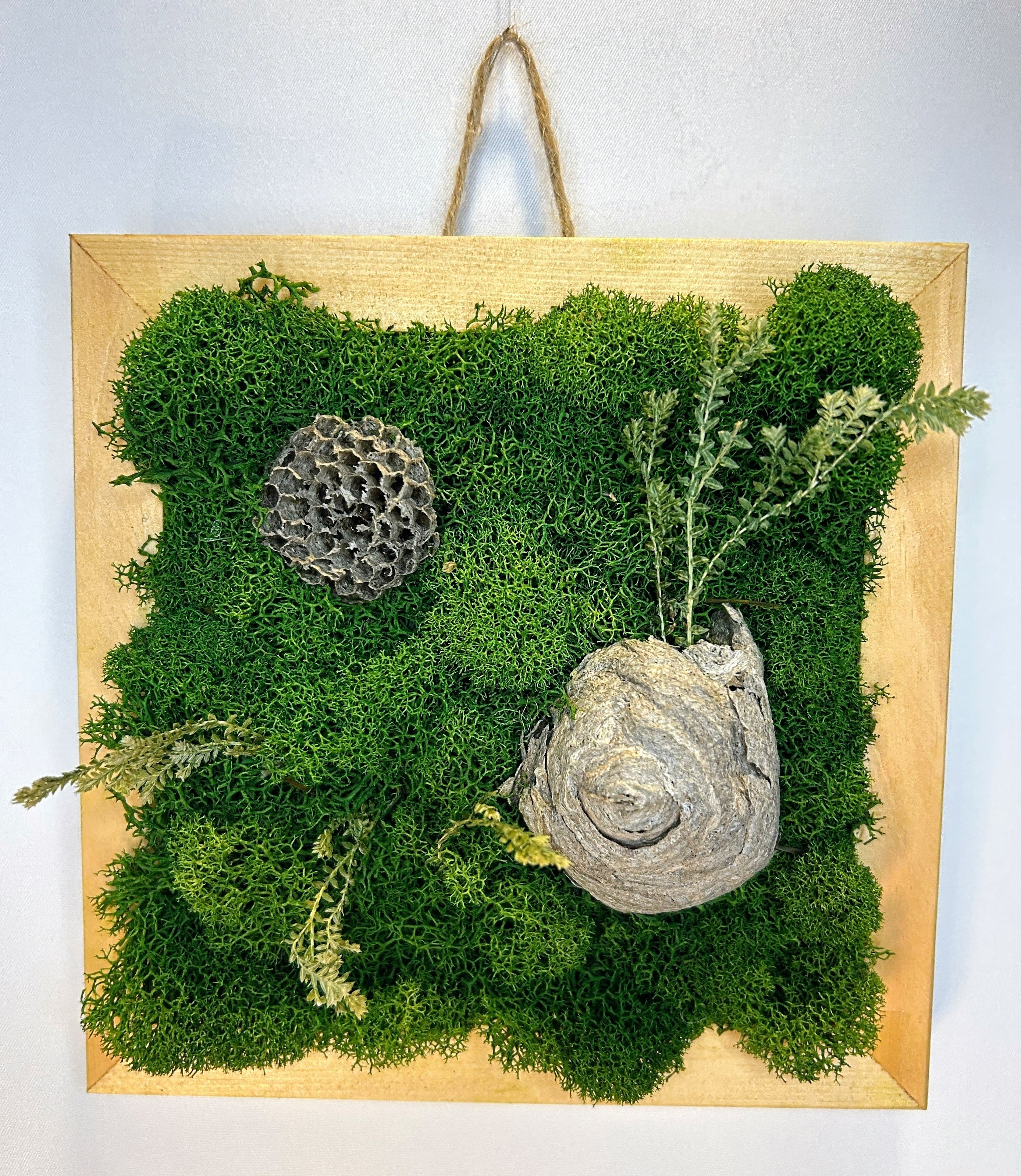 Small Moss Nest