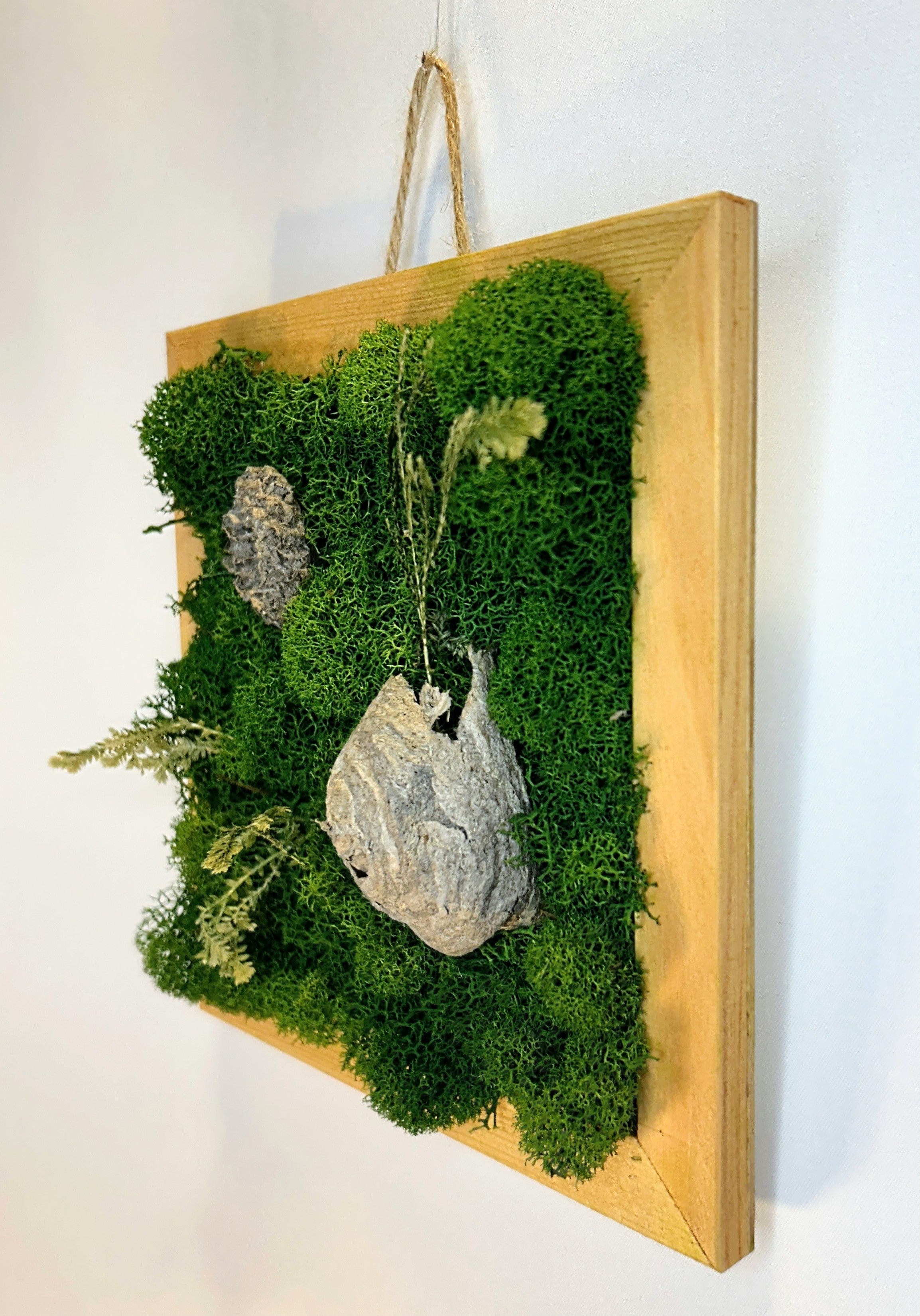 Small Moss Nest