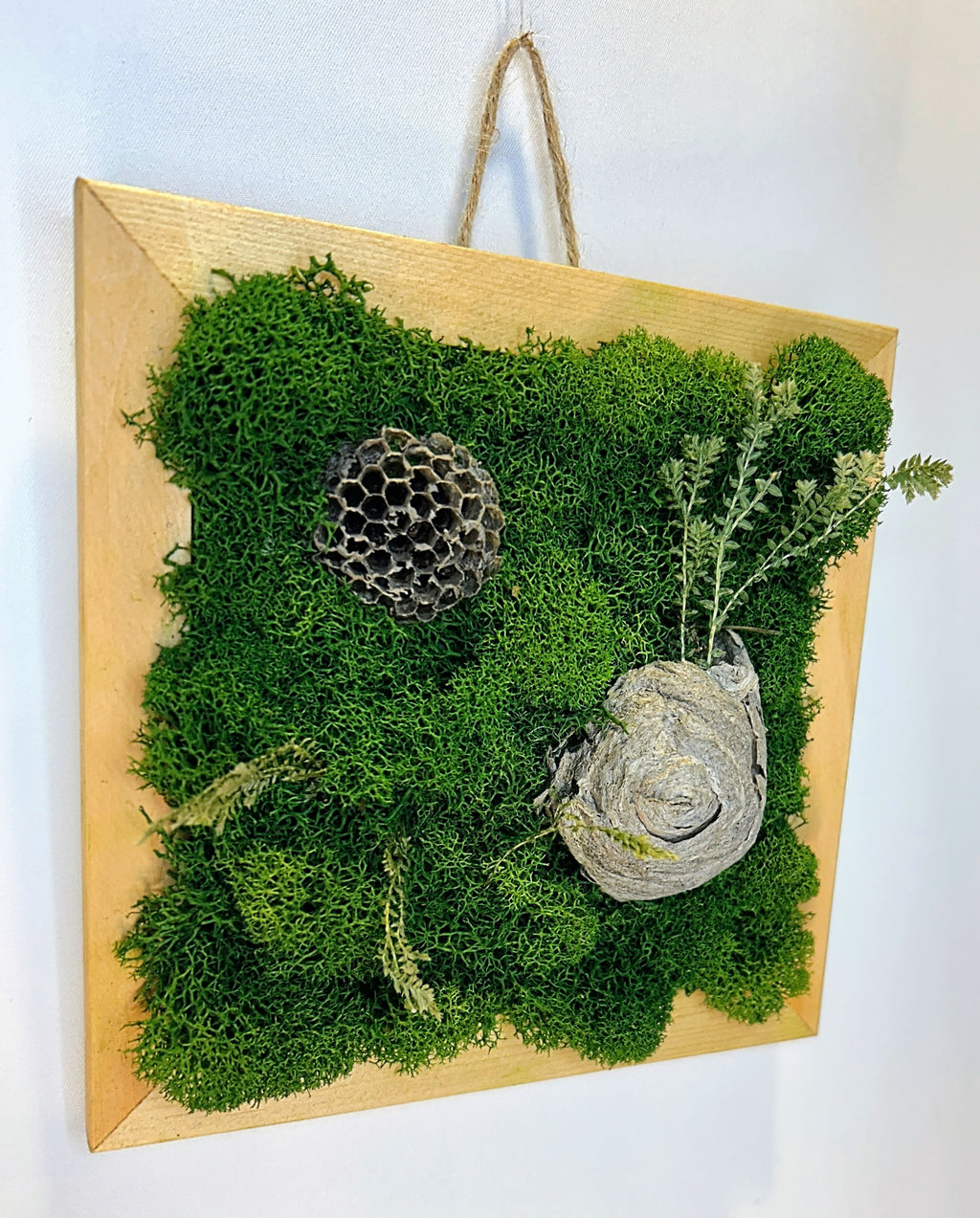 Small Moss Nest