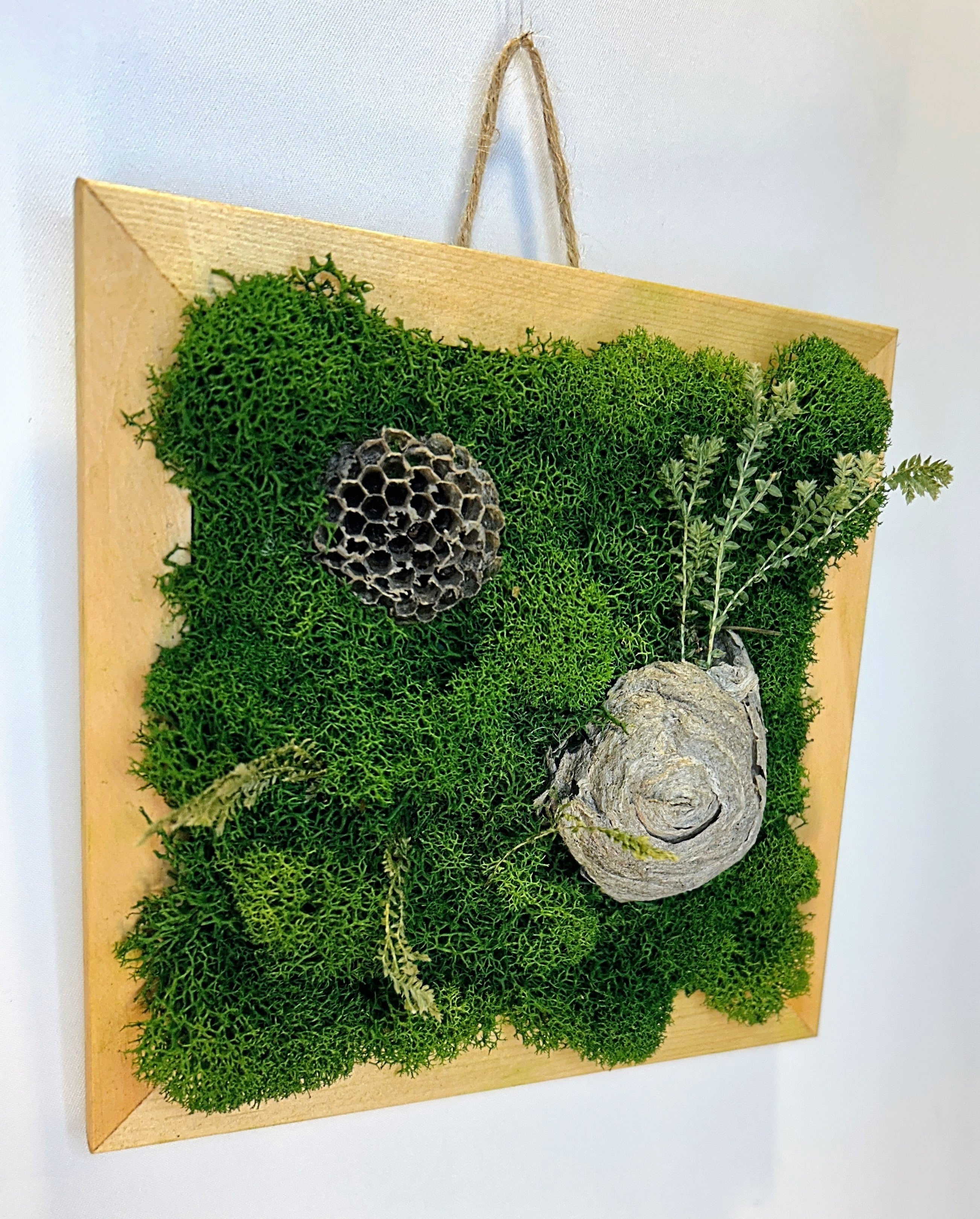 Small Moss Nest