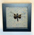 Dragon Fly