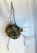Wasp Nest Stick