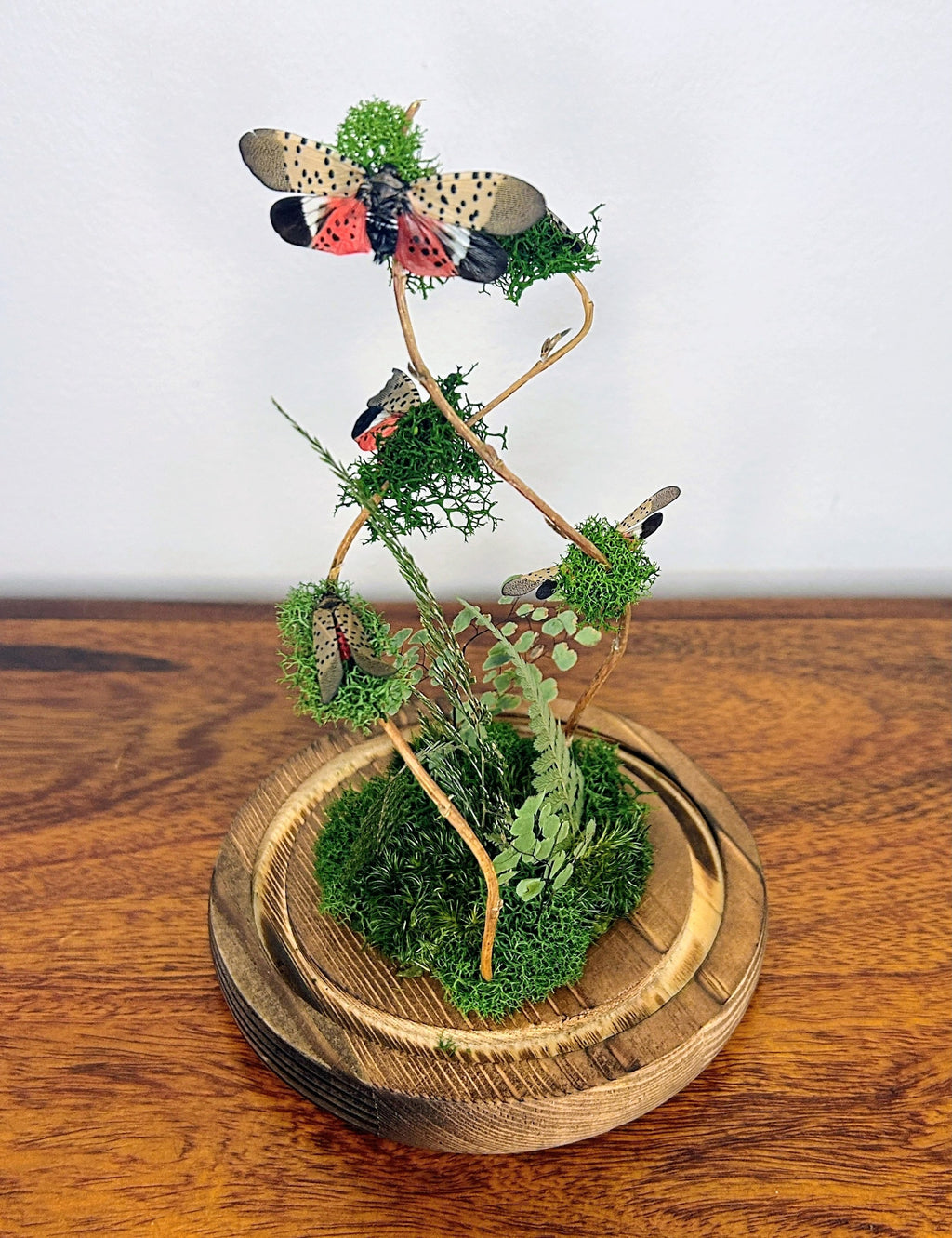 7.5" Spotted Lantern Fly Cloche