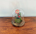 5.5" Earth Mix Cloche