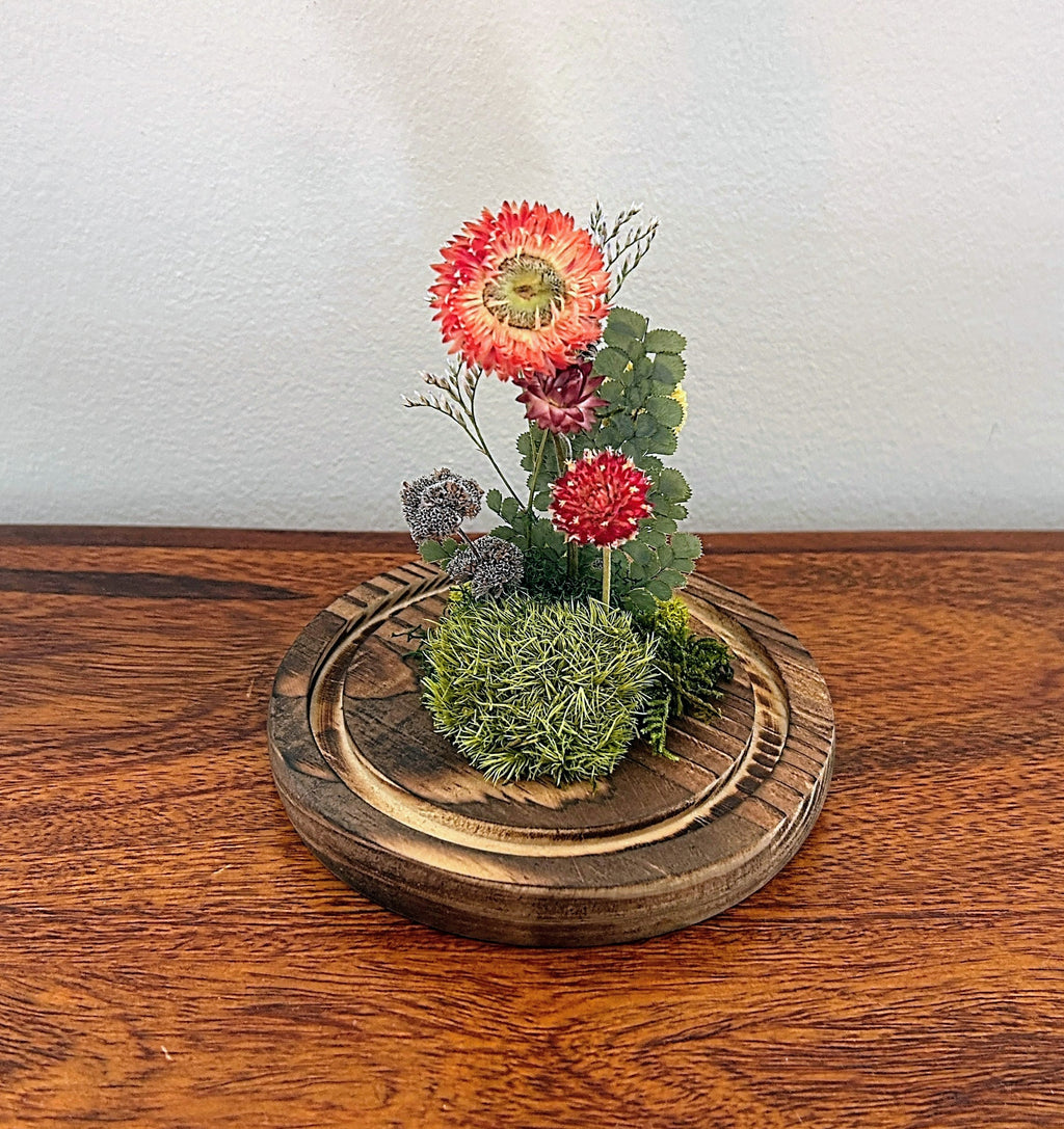 5.5" Earth Mix Cloche