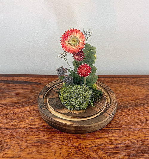5.5" Earth Mix Cloche