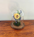 6.5" Blue and Yellow Cloche