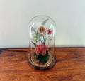 7" Celosia Shroom Cloche