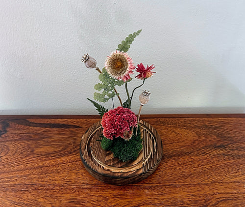 7" Celosia Shroom Cloche