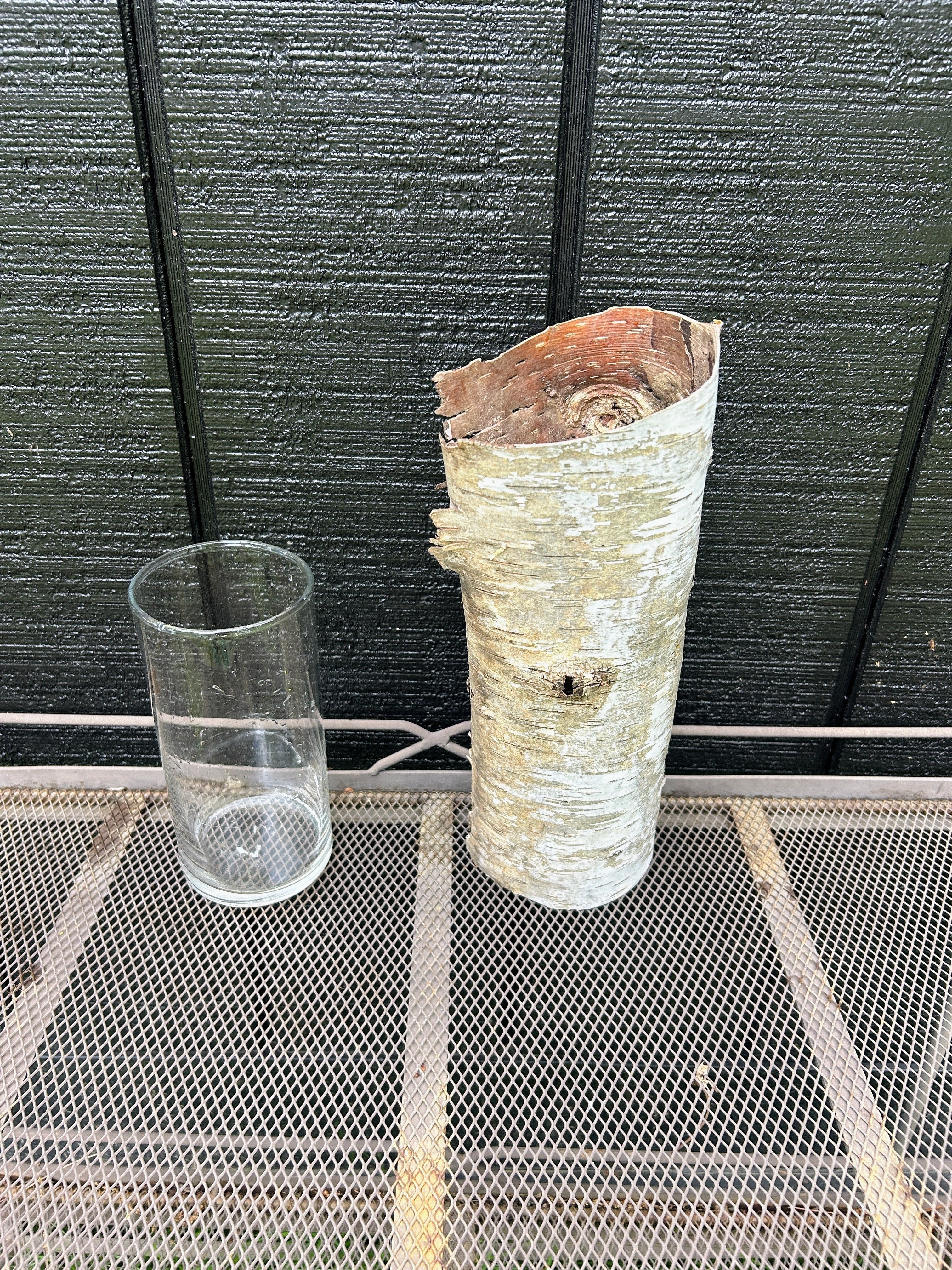 12" Birch Tree Vase