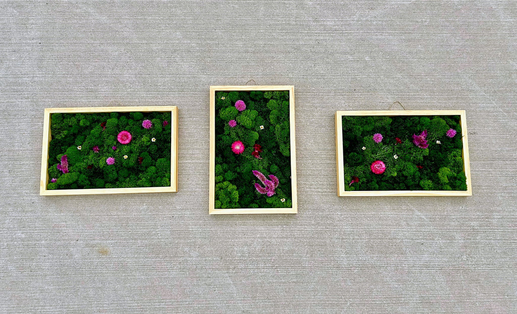 Custom Series - SOLD