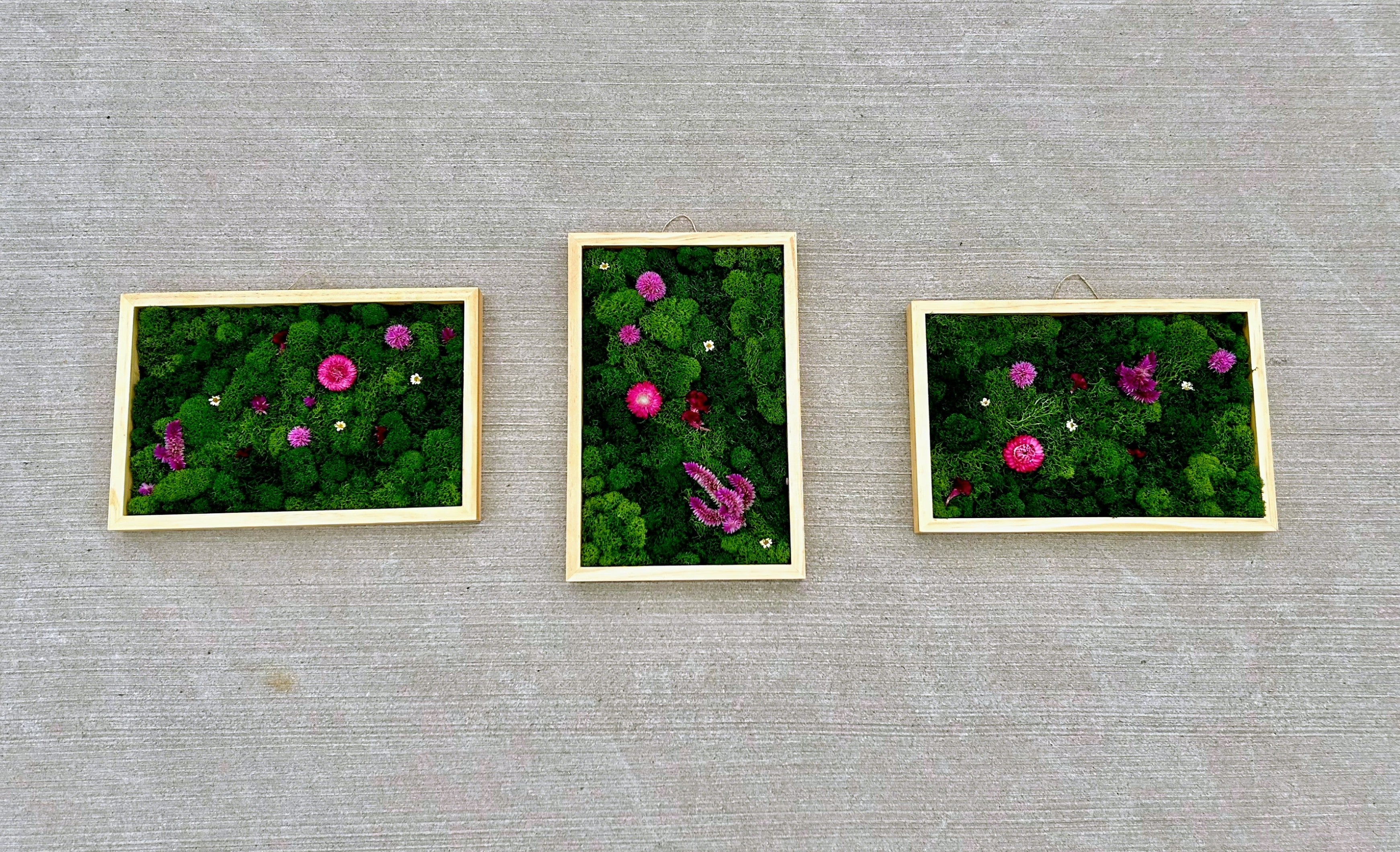 Custom Series - SOLD