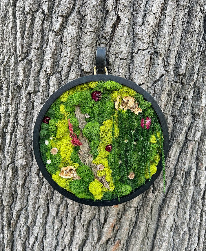Round Hidden Daisy Trail - SOLD
