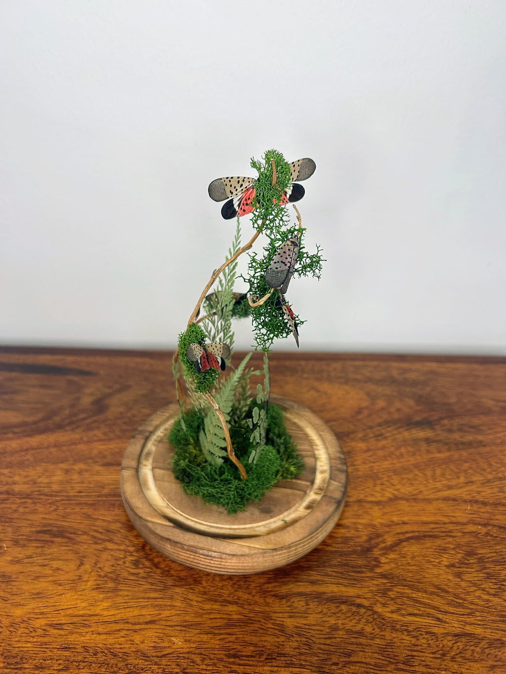 7.5" Spotted Lantern Fly Cloche