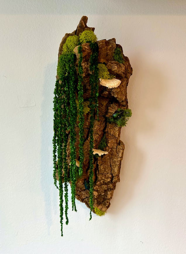 Snail Beetle Bark - SOLD