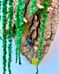Snail Beetle Bark - SOLD