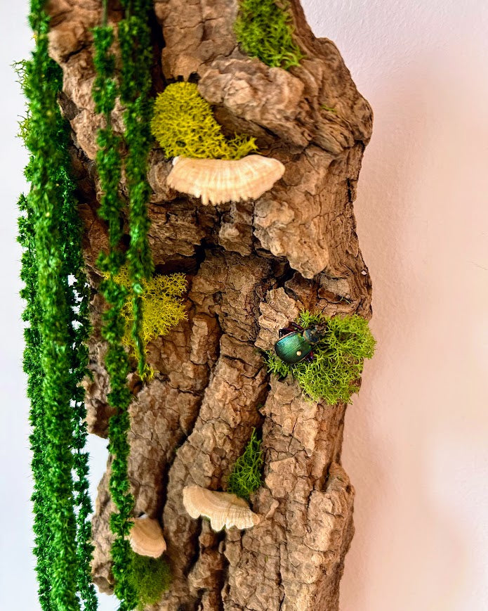 Snail Beetle Bark - SOLD