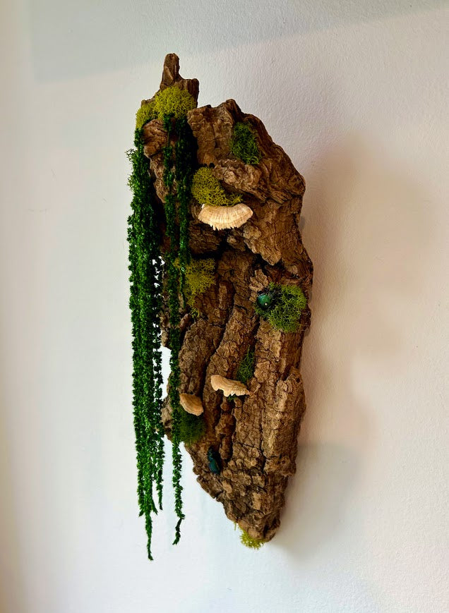 Snail Beetle Bark - SOLD