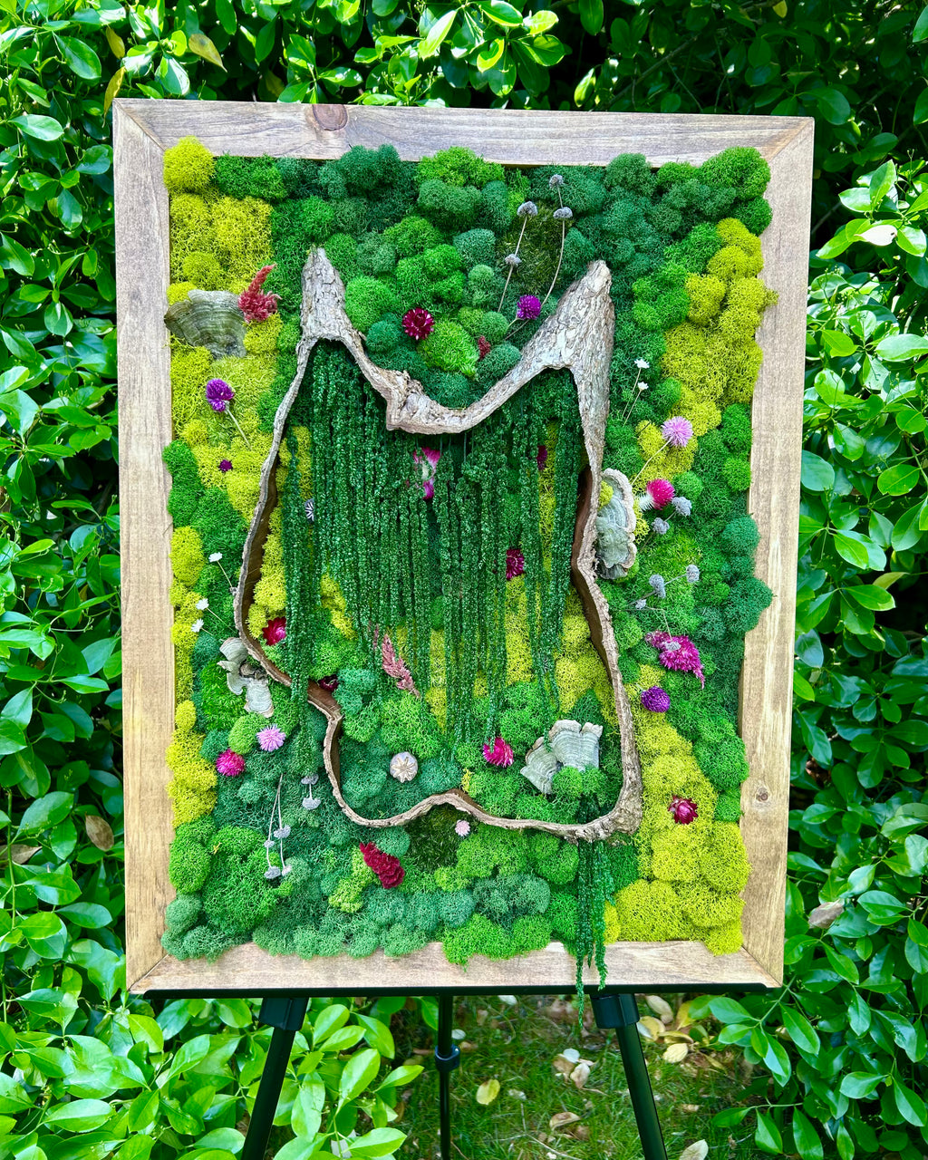 The Terrapin Wood
