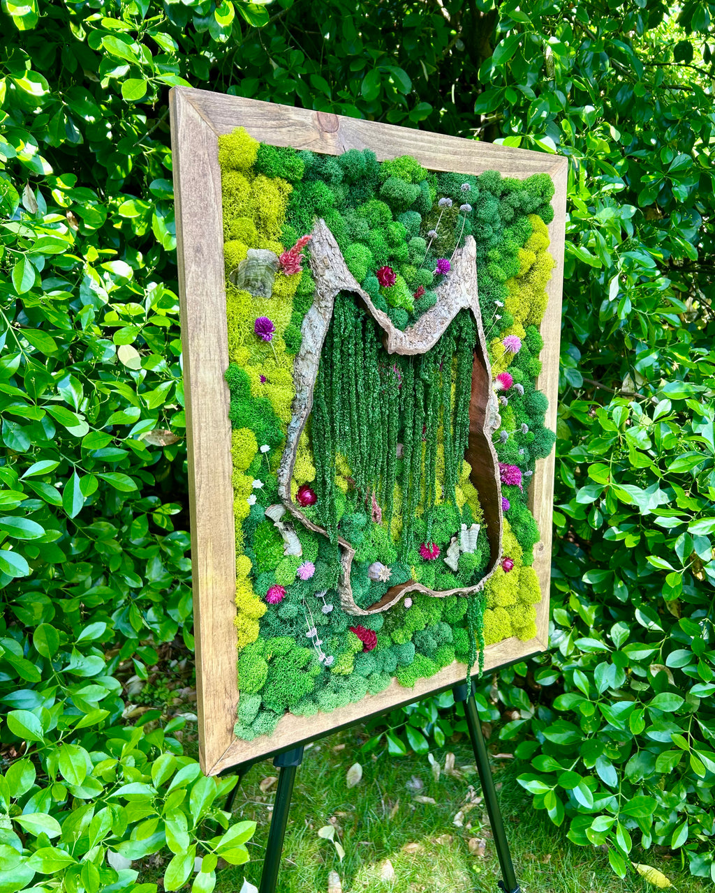 The Terrapin Wood