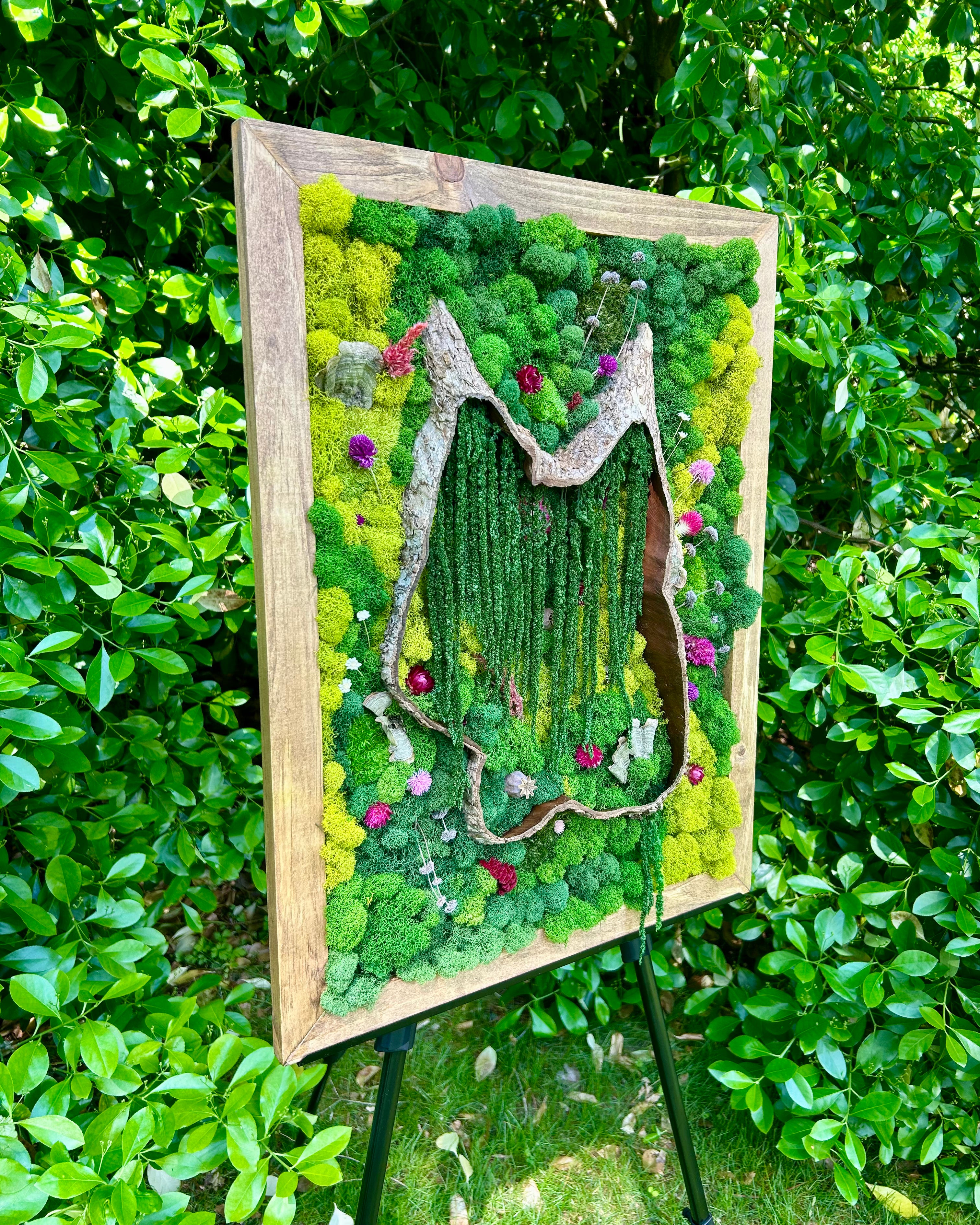 The Terrapin Wood