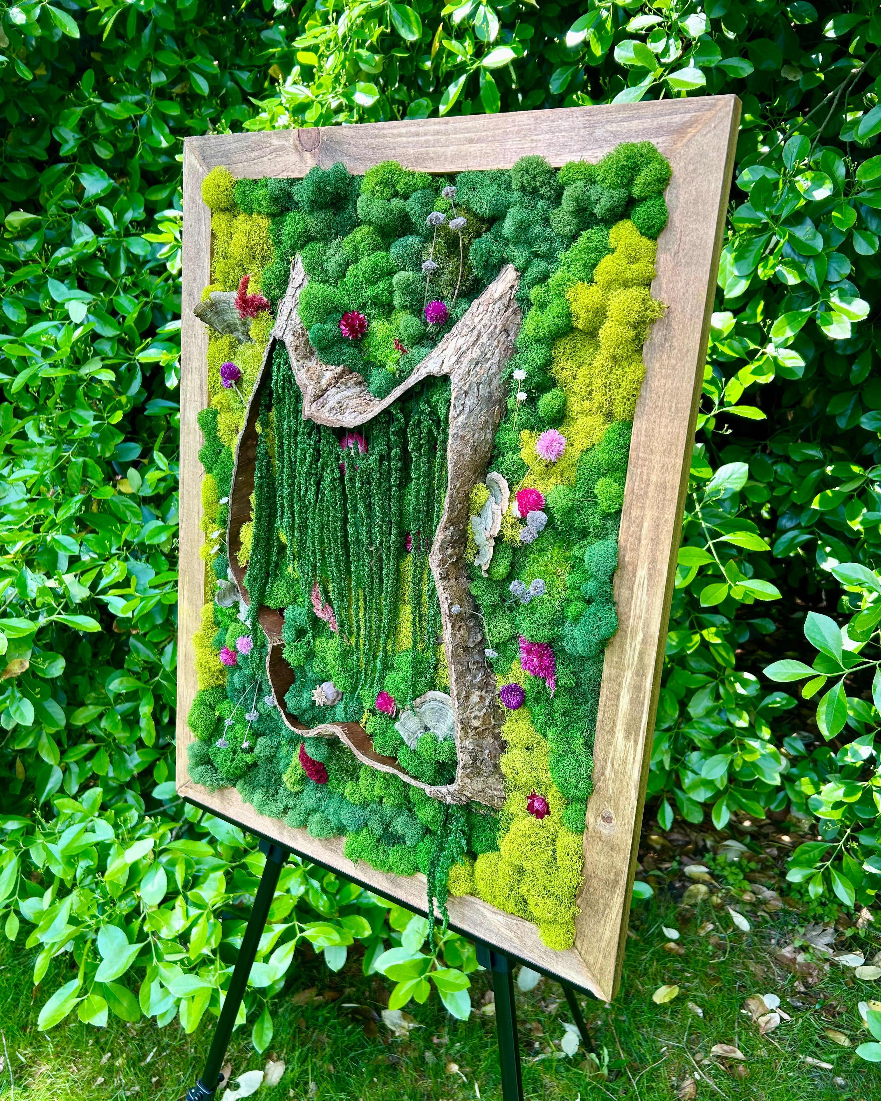 The Terrapin Wood