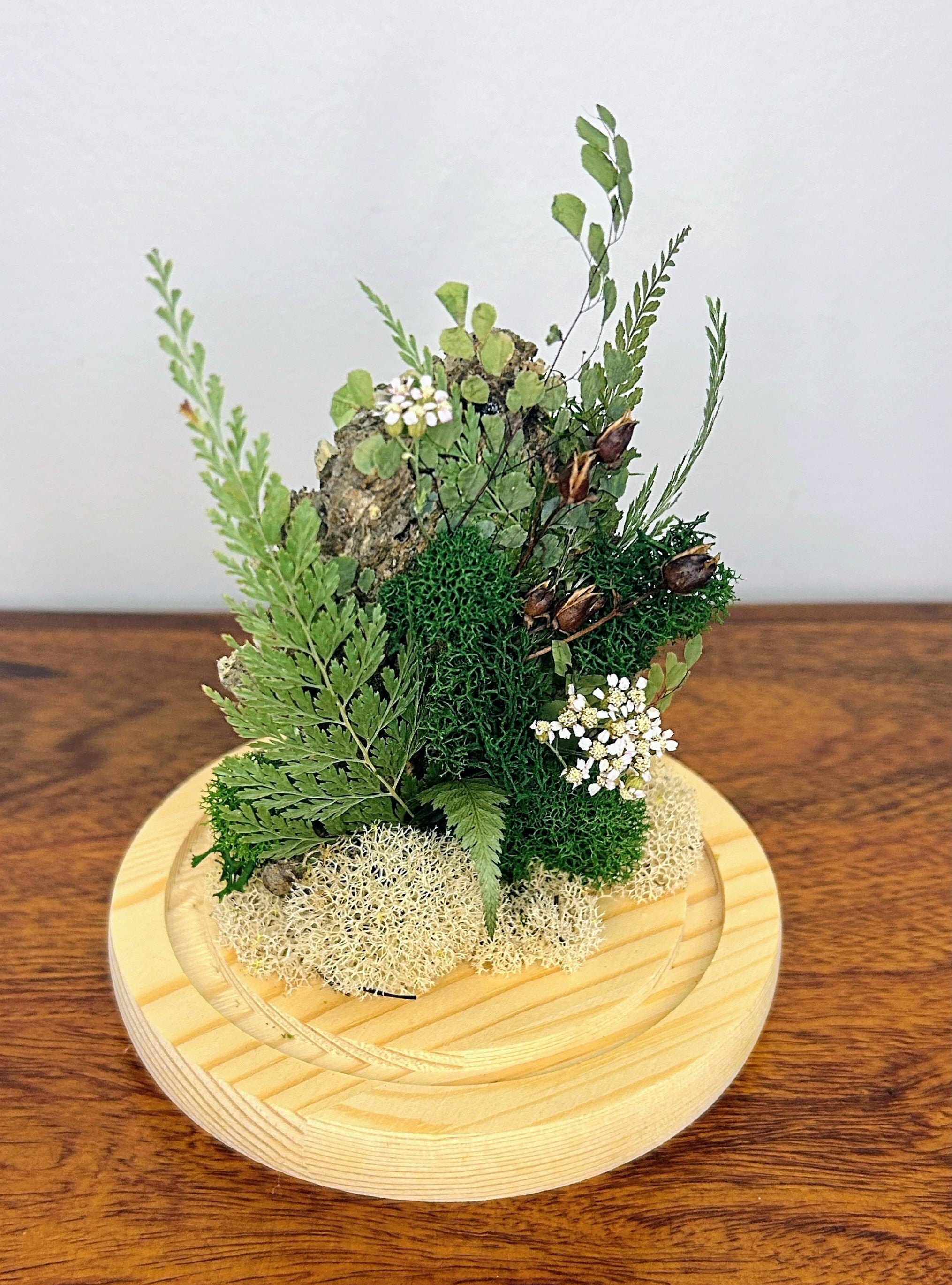6" Honey Comb Cloche