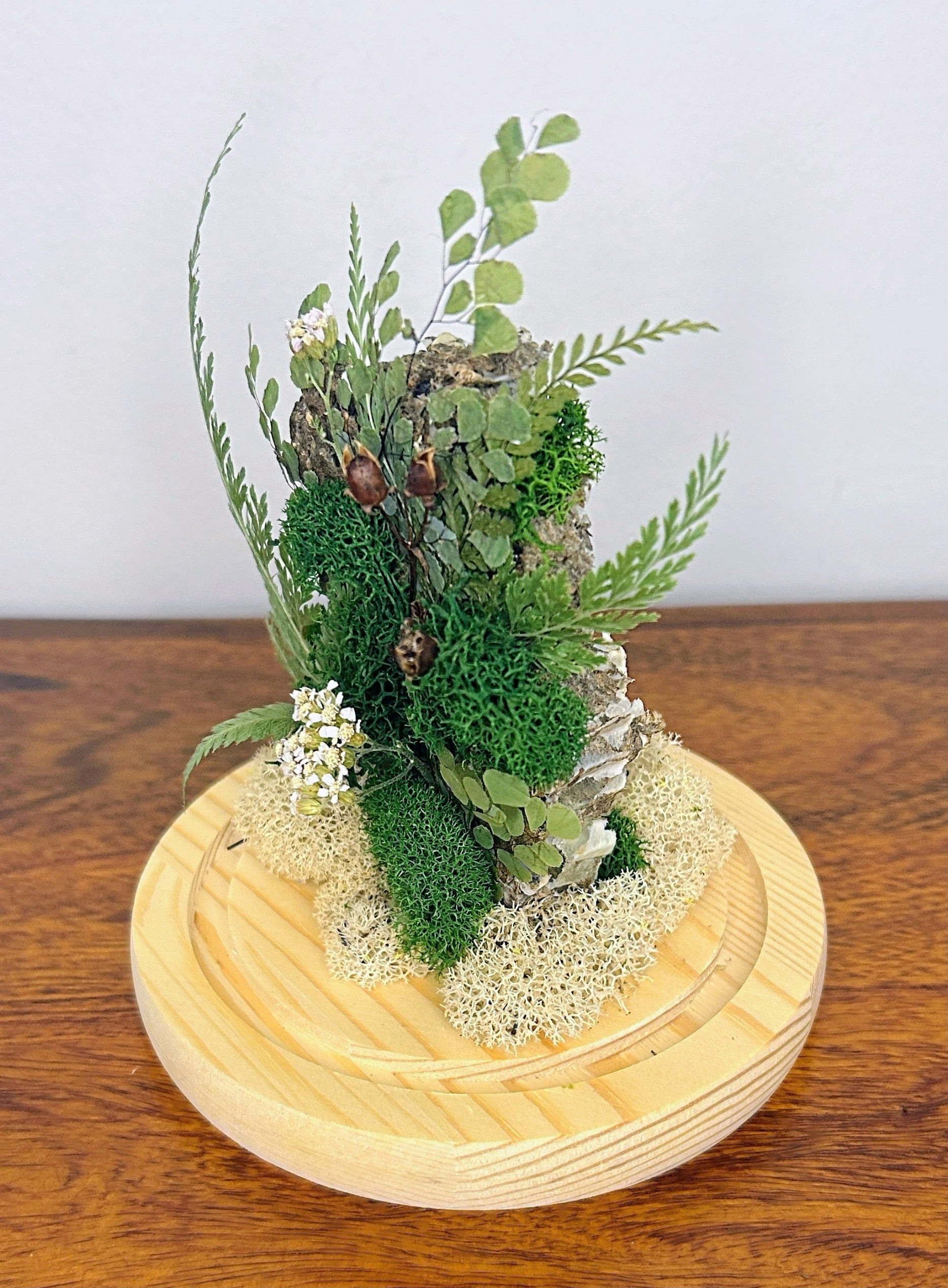 6" Honey Comb Cloche