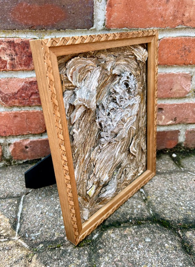 Wasp Nest Waves