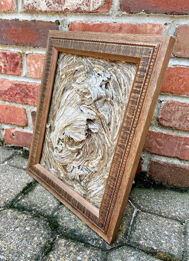 Wasp Nest Swirl