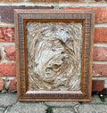Wasp Nest Swirl