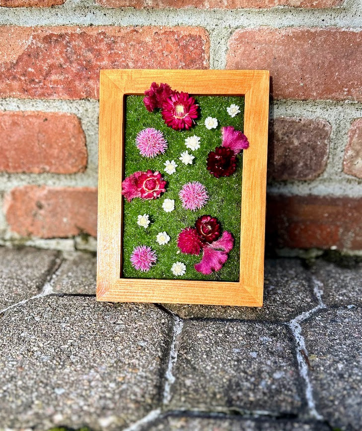 Small Trailing Daisies with Pinks - SOLD