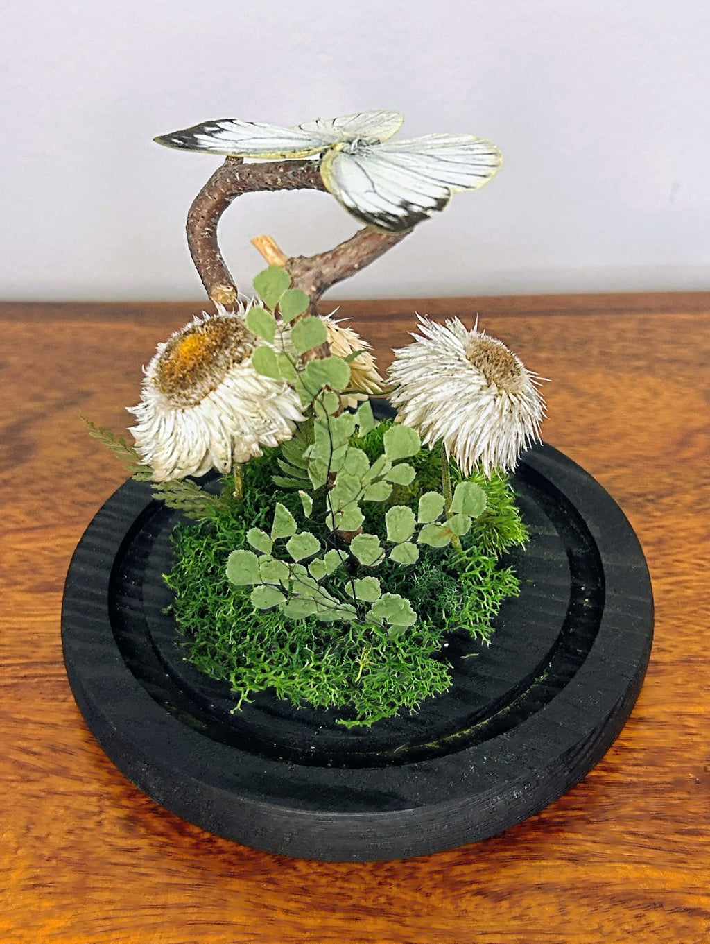 6" White Butterfly Cloche