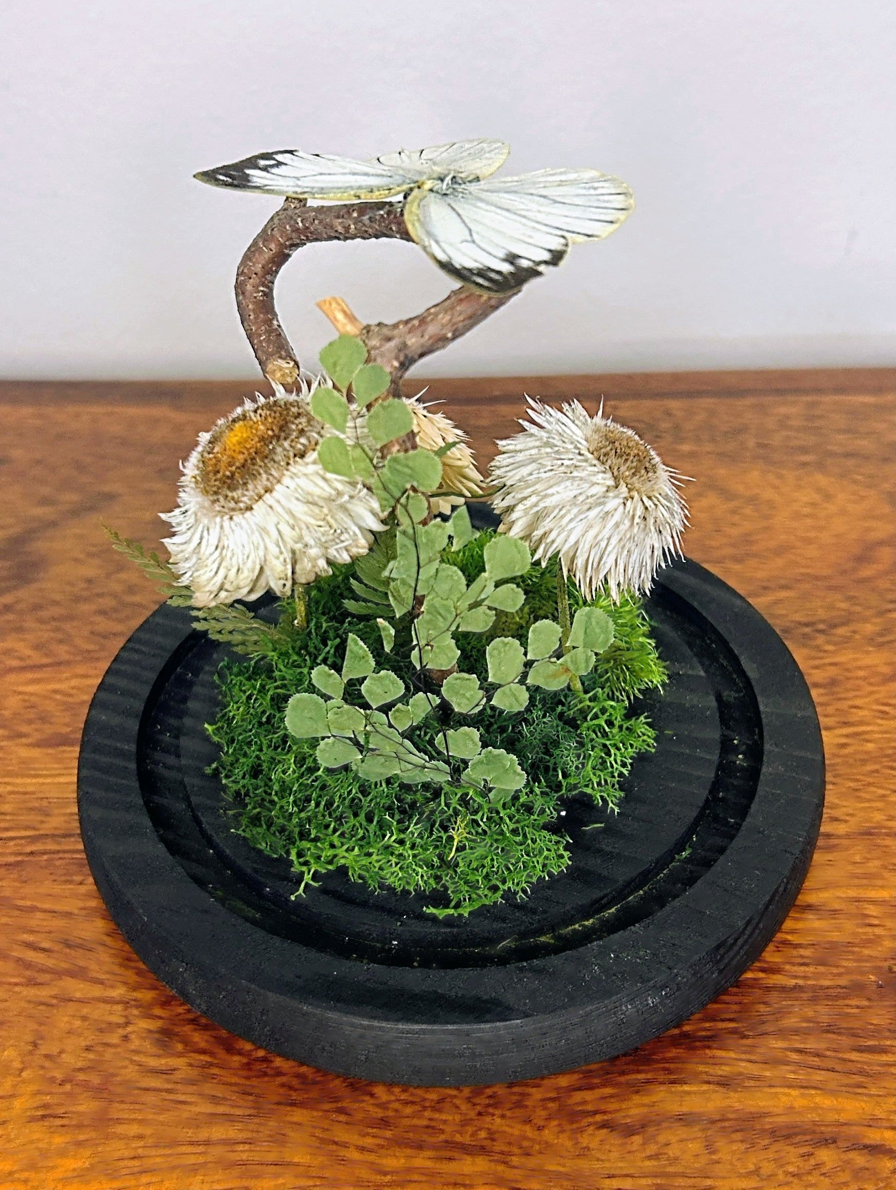 6" White Butterfly Cloche