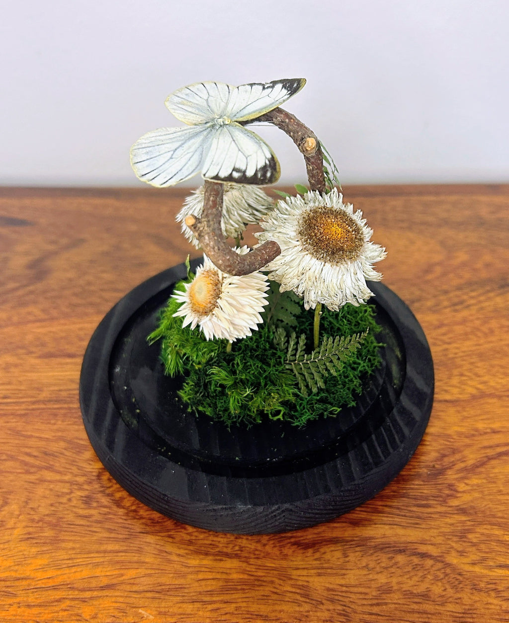 6" White Butterfly Cloche