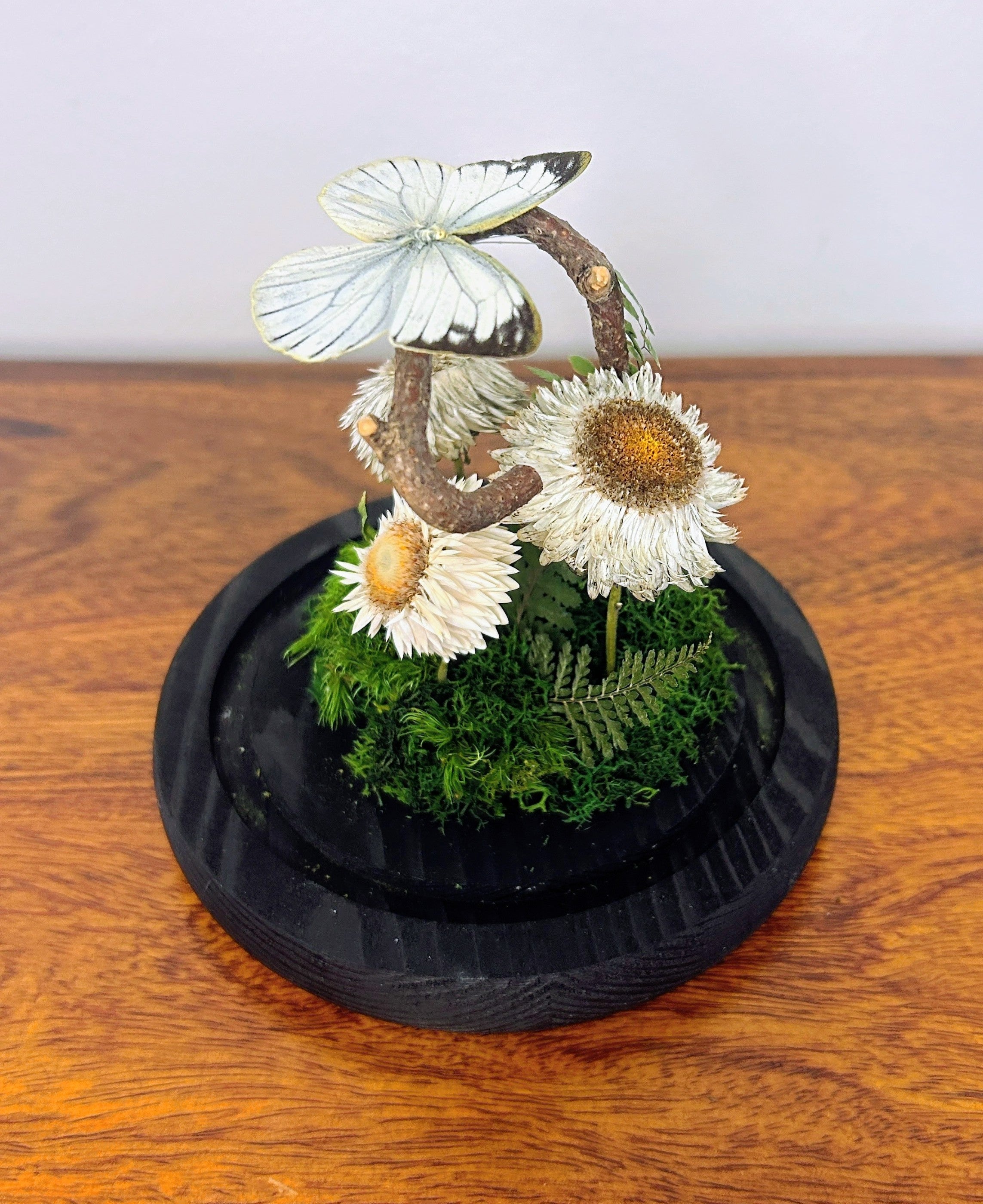 6" White Butterfly Cloche